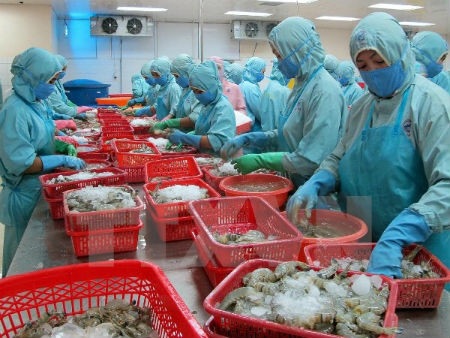 Vietnam Seafood Exports Surge in 2017, Especially Away from US